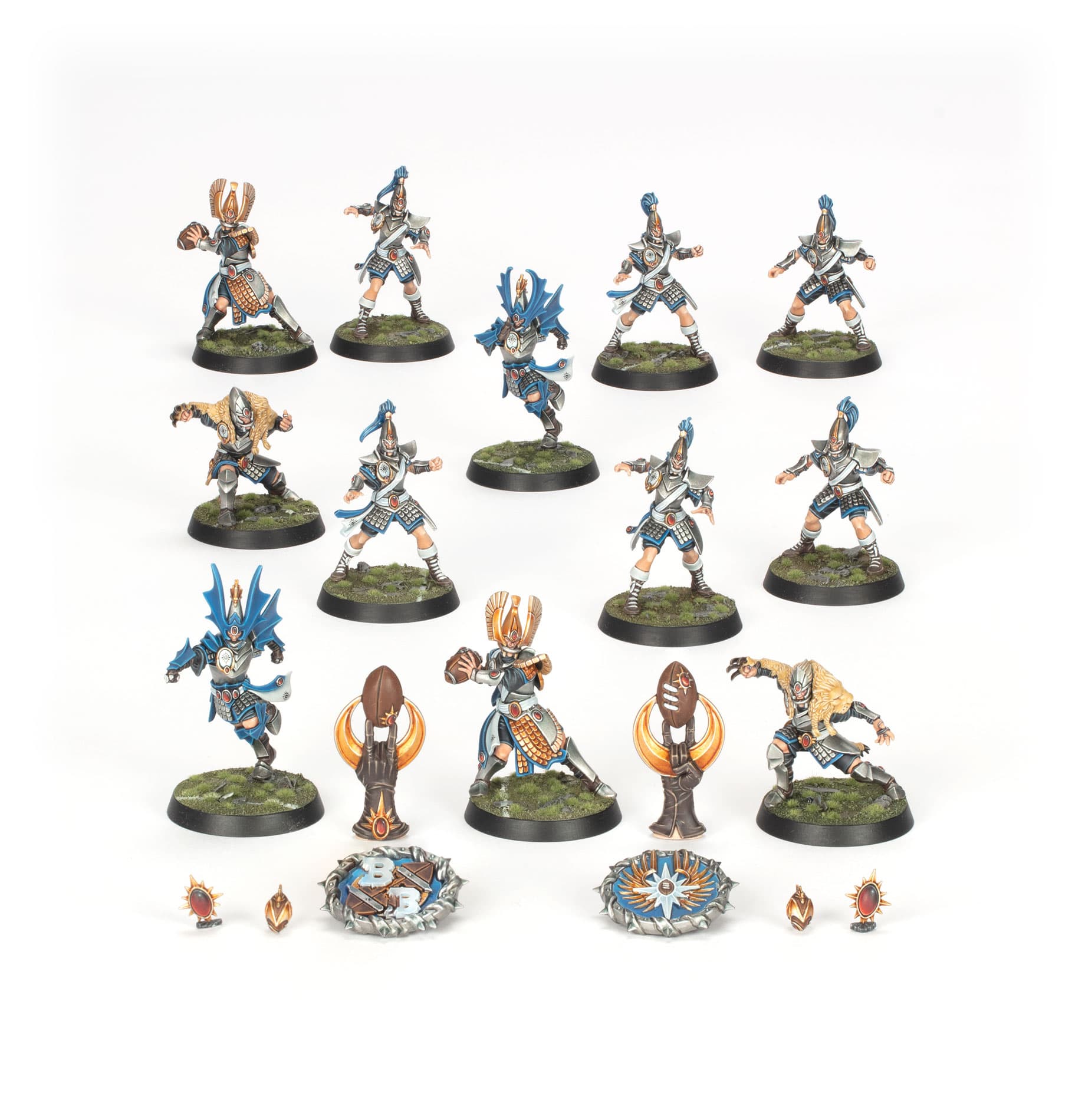 High Elf Blood Bowl Team: The Caledor Dragons